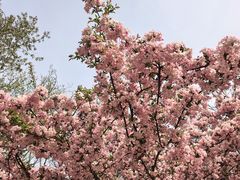 -宝鸡植物园