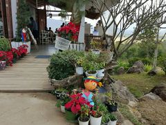 -黄色小屋