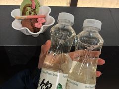 -阿露佳·舌尖上的安吉菜