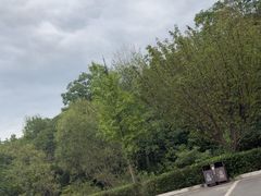 -陕西省红河谷森林公园