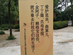 -壹华里·市集