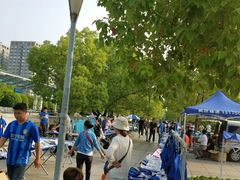 -南京奥林匹克体育中心-体育馆