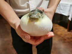 -肆月河豚·新淮扬(金融街店)