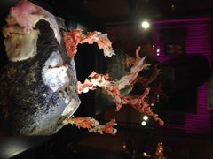 -绮丽珊瑚(台北101旗舰门市店)