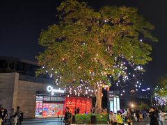 -欢乐海岸水秀剧场
