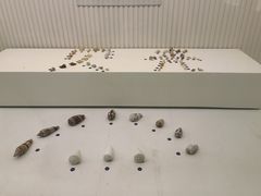 -青岛贝壳博物馆