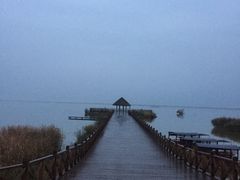 -哈素海