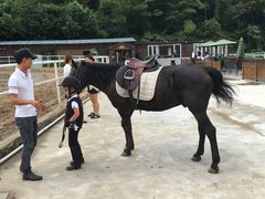 -枫露马术学院(藏书校区)