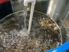 -仙螺岛海鲜自助餐厅(总店)