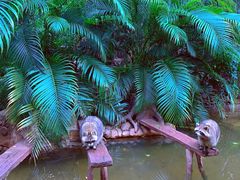 -长鹿旅游休博园