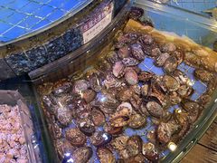 -金悦轩海鲜城(渔人码头店)
