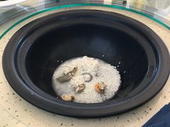 赶海海鲜粥-港畔赶海蒸汽海鲜烧烤自助(仙螺岛店)