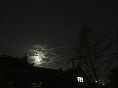 -蓉园大包(旅游村店)