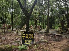 -四会奇石河风景区