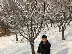 -北京亚布洛尼朝阳公园滑雪场