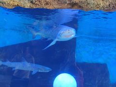 -横店影视城梦幻谷园区