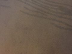-青岛海泉湾度假区温泉