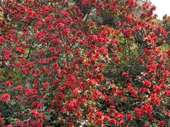 -玄武湖景区-情侣园游乐场