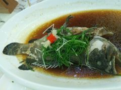 -东江渔村(皇悦店)