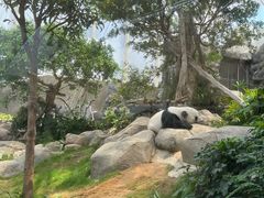 -香港海洋公园