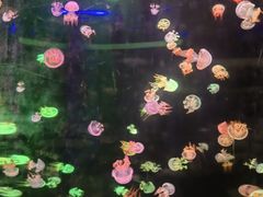 -邯郸海洋世界