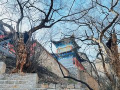 -皇藏峪国家森林公园