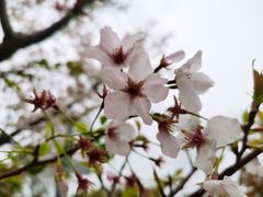 -上海滴水湖皇冠假日酒店