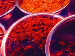 -帝煌烤卤(羊子街店)
