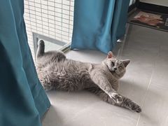-宠颐生宠物医院外科·内科·皮肤科·影像科(石龙店)