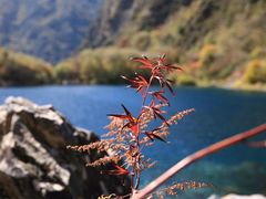 -叠溪松坪沟景区