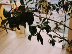 -Onirii Coffee(长乐路店)