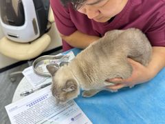 -芭比堂动物医院·CT·微创中心(新顺分院)