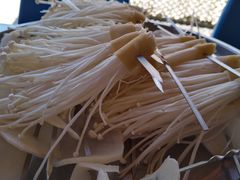 -亲兄弟真人CS团建拓展基地