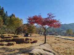 -塔川景区