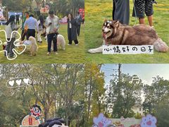 -上海神旺大酒店