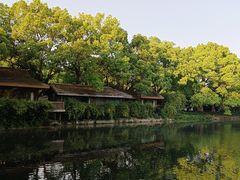 -西湖外事游船(花港观鱼码头)