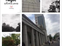 -堤角公园