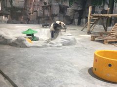 -栾川竹海野生动物园