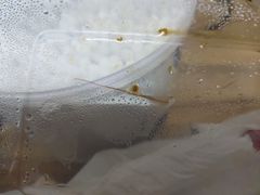 -湘阁里辣(大朗广场店)