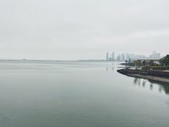 -万绿园