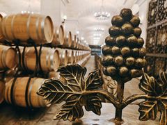 -北京张裕爱斐堡酒庄