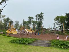 -铁山坪森林公园