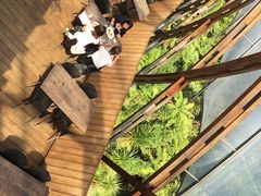 怀托摩萤火虫洞-怀托摩萤火虫洞