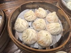 -莱莱小笼·乔艾