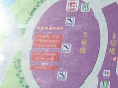 -恐龙人俱乐部