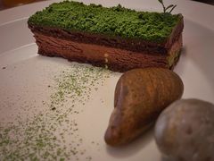 苔藓-知亘茶食