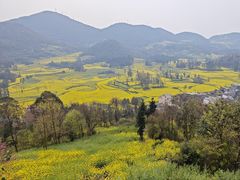 -牛街螺丝田