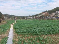 -红山村