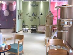-藏猫猫咖啡主题馆(中央大道店)