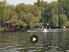 -百脉泉景区